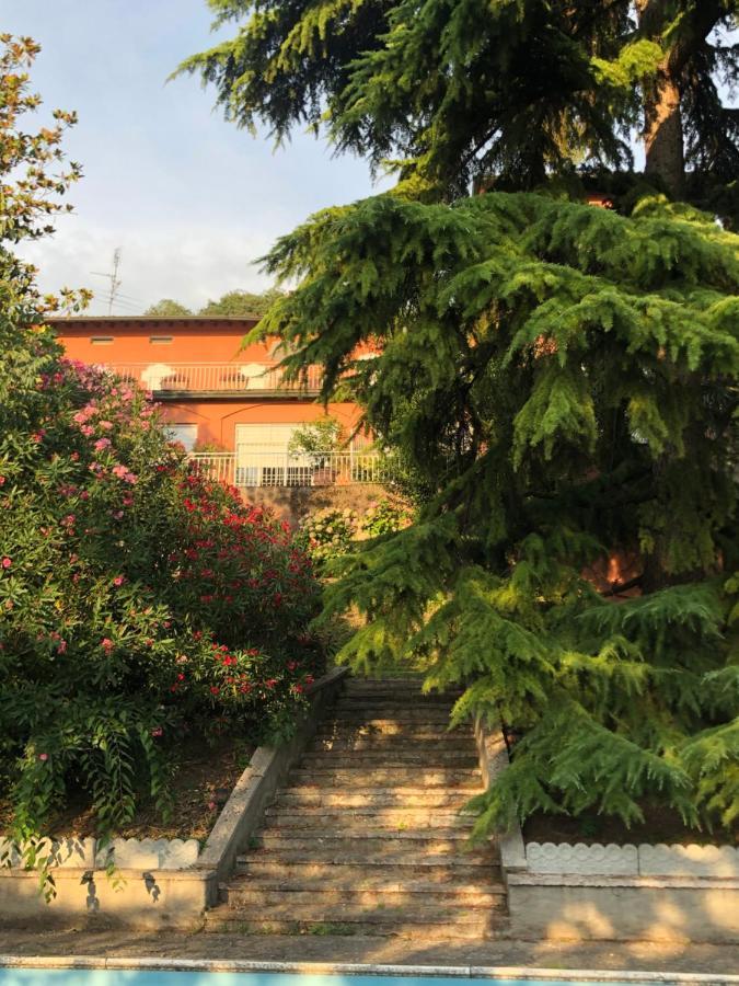 House&garden